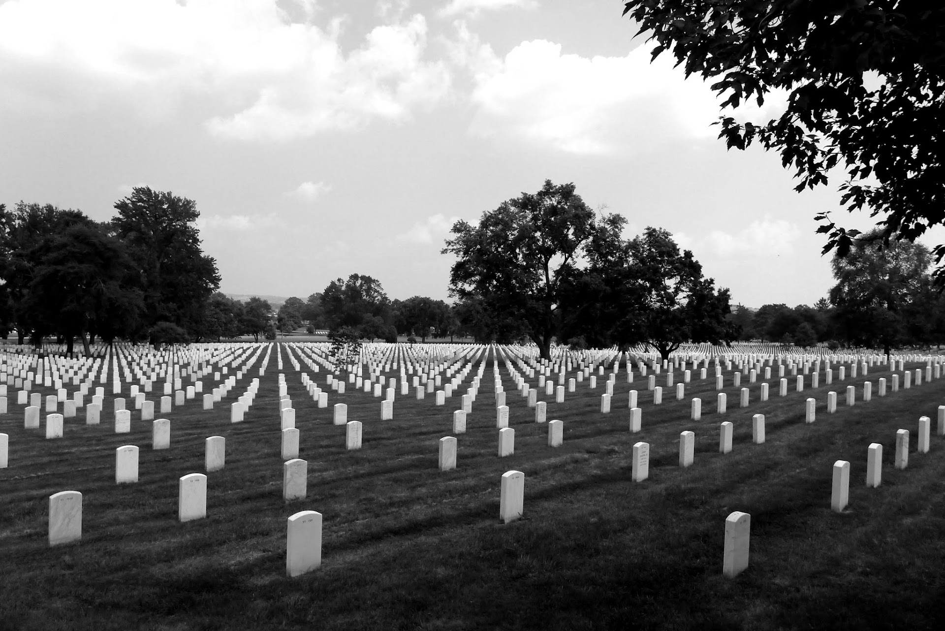 Black and white photo of rows of white headstones stretching across the grounds of Arlington National Cemetery
